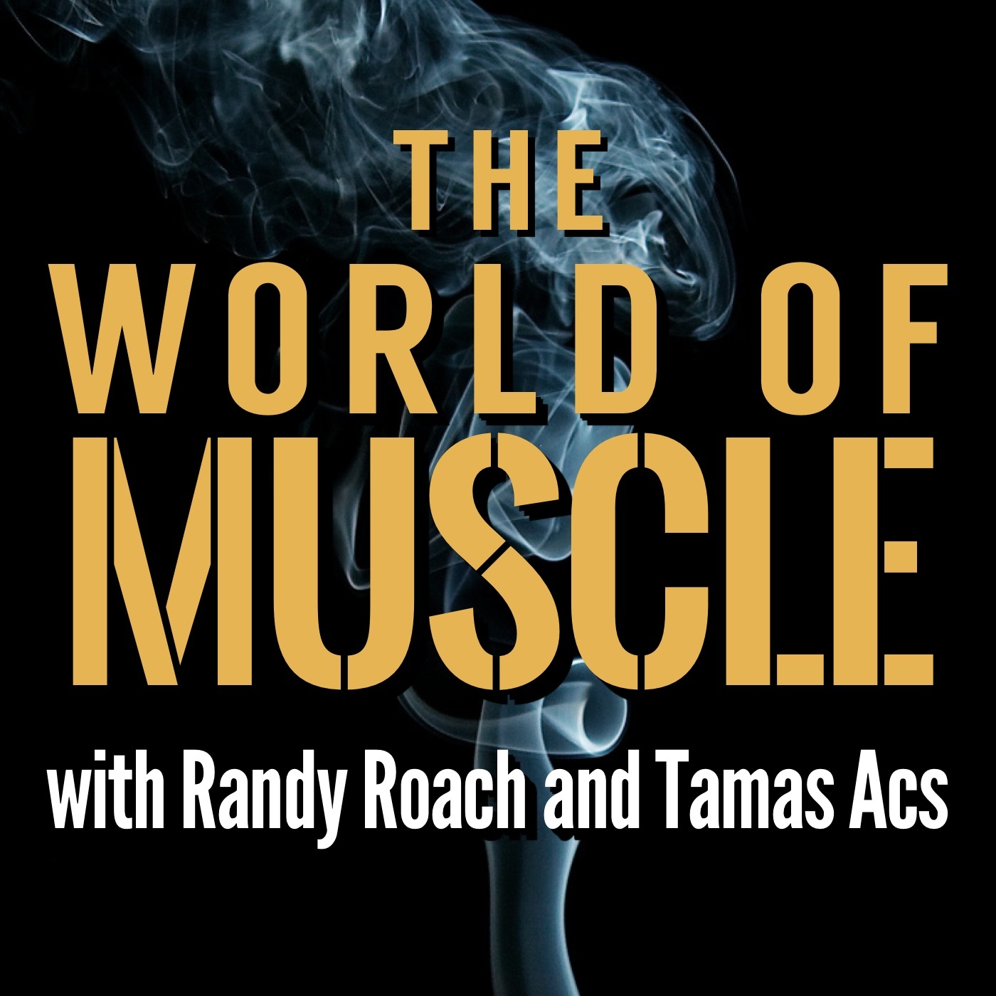 The World of Muscle